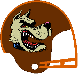 fantasy football leagues